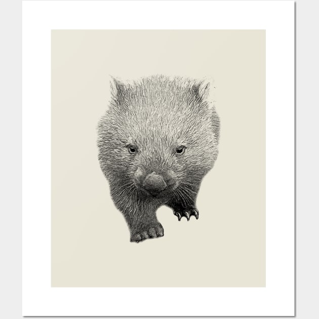 Wombat Wall Art by Guardi